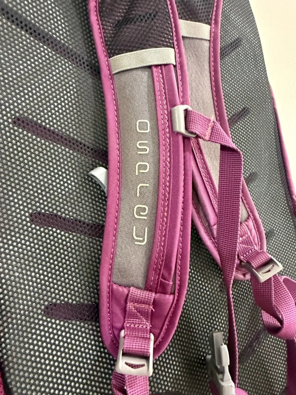 OSPREY Daylite Plus Backpack - Magenta and Light Gray Accents